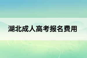 孝感成人高考报名费用